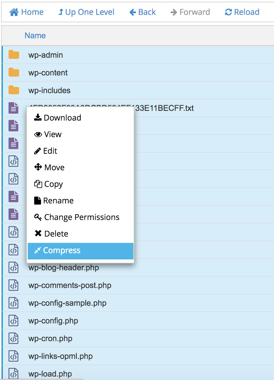 step-3-cpanel-file-manager-download